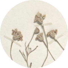 Debbie Millman, MS, MA, LPC, NBCC